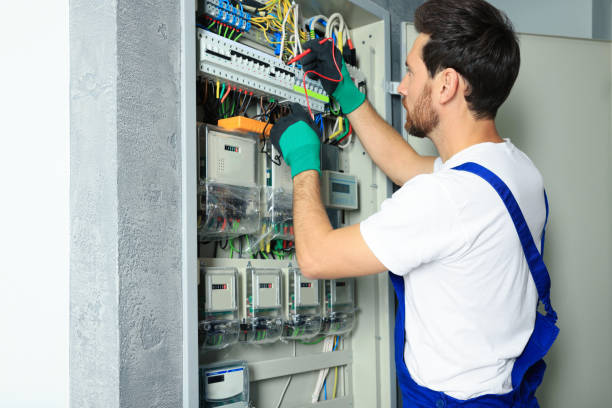 Best Home Electrical Repair  in Black Earth, WI