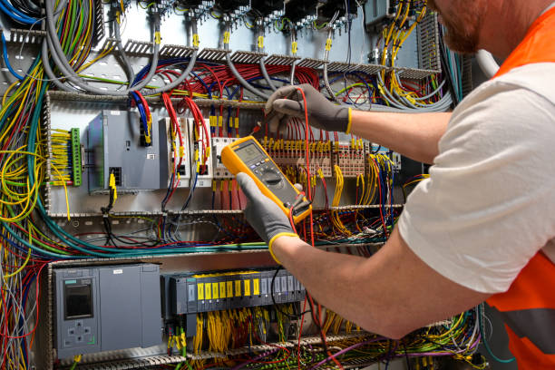 Best Electrician for Home Renovation  in Black Earth, WI